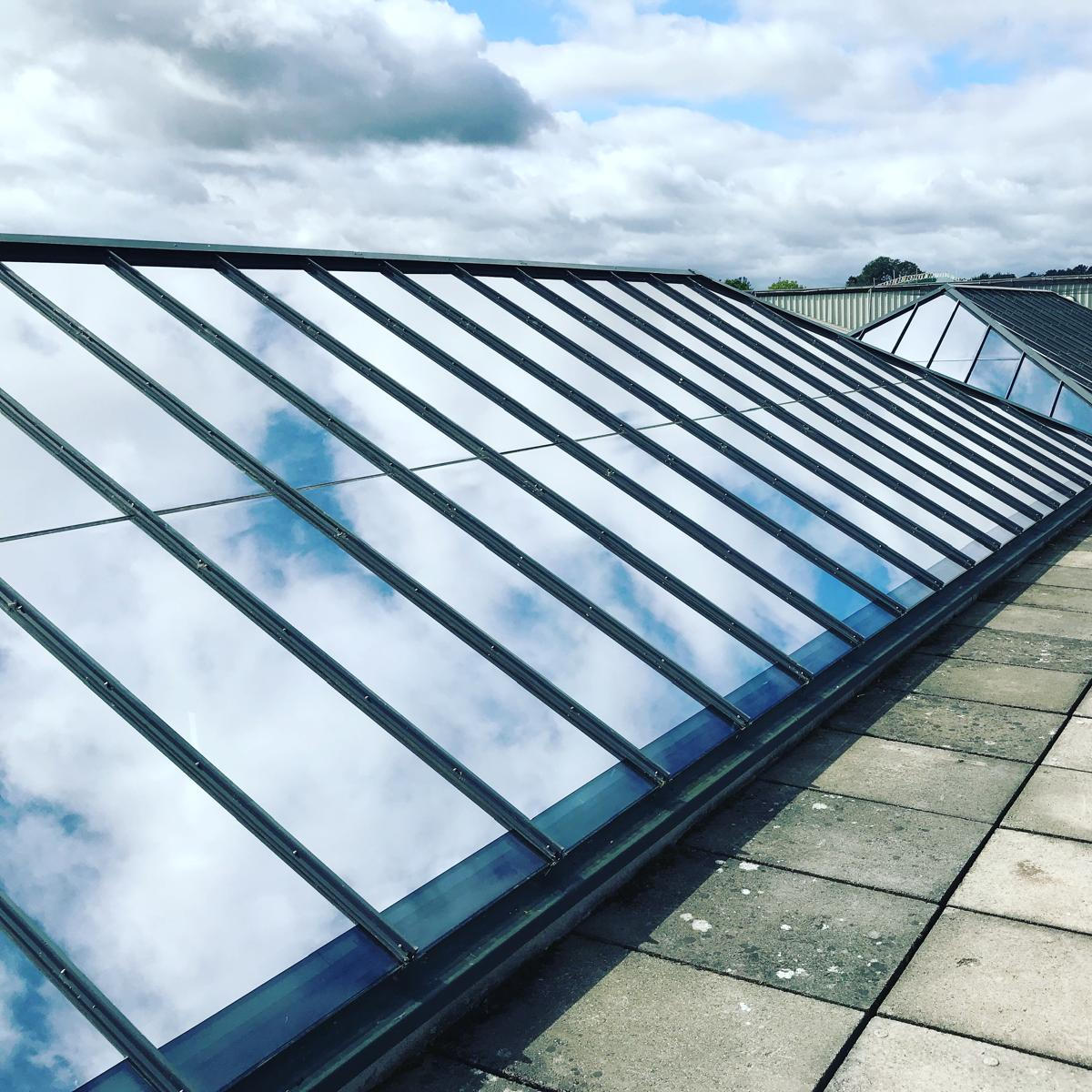 Window Film Installers | TS Window Films